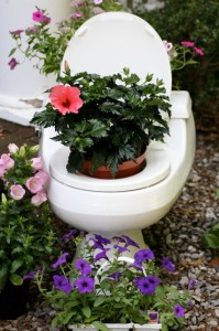 toilet_bowl_with_flowers